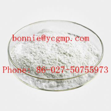 Atorvastatin Calcium  With Good Quality